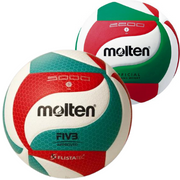 Molten volleyballen