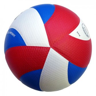 Gala Pro-line 5171S10 Volleybal