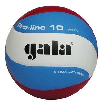 Gala Pro-line 5571S10 Volleybal
