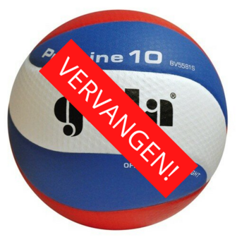 Gala Pro-line 5581S10 Dimple Volleybal