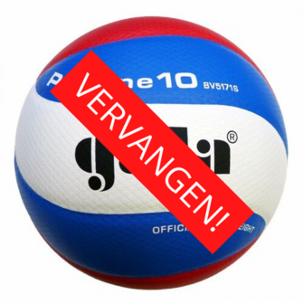 Gala Pro-line 5171S10 Volleybal