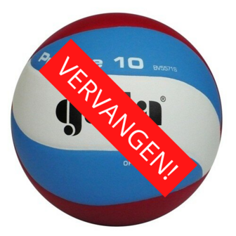 Gala Pro-line 5571S10 Volleybal