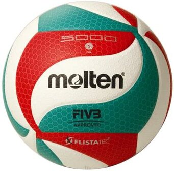 Molten V5M5000 Volleybal