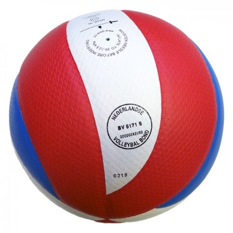Gala Pro-line 5171S10 Volleybal