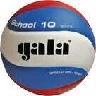 Gala-School-10-5711S10-Volleybal