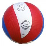 Gala Pro-line 5171S10 Volleybal_